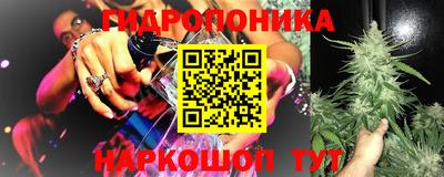 гашик Заводоуковск